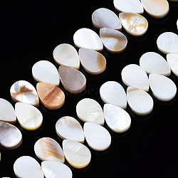 Natural Freshwater Shell Beads Strands, Teardrop, Seashell Color, 12x8x2.5mm, Hole: 1mm, about 76~80pcs/strand, 14.65~15.75 inch(37.2~40cm)(SHEL-Q024-007)