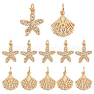 Elite 12Pcs 2 Style Brass Charms, with Clear Cubic Zirconia and Jump Rings, Starfish/Sea Stars & Shell Shape, Golden, 12.5~13x11x2.5~3mm, Hole: 2.5mm, 6pcs/style(FIND-PH0006-11)