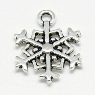Tibetan Style Alloy Pendants, Snowflake, Cadmium Free & Lead Free, Antique Silver, 18x14.5x2.5mm, Hole: 2mm, about 910pcs/1000g(TIBE-S301-031AS-RS)