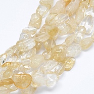 Natural Citrine Beads Strands, Tumbled Stone, Nuggets, 12~23x6~15mm, Hole: 1.2mm, 15.7 inch(40cm)(G-F599-27)