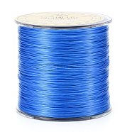Flat Japanese Crystal Elastic Stretch Thread, for Bracelets Gemstone Jewelry Making Beading Craft, Dodger Blue, 0.5mm, about 328 yards(300m)/roll(EW-Z001-A07)