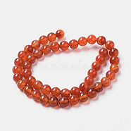 Natural Agate Beads Strands, Dyed, Round, Red, 8mm, Hole: 1.4mm, about 50pcs/strand, 15.75 inch(40cm)(G-I261-B01-8mm)