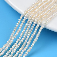 Natural Cultured Freshwater Pearl Beads Strands, Potato, Seashell Color, 2~2.5x2~2.5x2~2.5mm, Hole: 0.5mm, about 146~149pcs/strand, 13.78 inch(35cm)(PEAR-N013-02H)