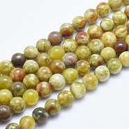 Natural Serpentine Jade Beads Strands, Round, 8mm, Hole: 1mm, about 48pcs/strand, 15.7 inch(40cm)(G-P353-06-8mm)
