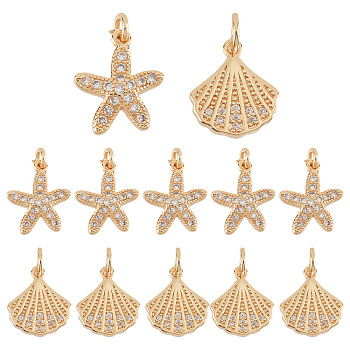 Elite 12Pcs 2 Style Brass Charms, with Clear Cubic Zirconia and Jump Rings, Starfish/Sea Stars & Shell Shape, Golden, 12.5~13x11x2.5~3mm, Hole: 2.5mm, 6pcs/style