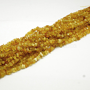 Natural Amber Chip Beads Strands, 5~8x5~8mm, Hole: 1mm, about 15.5 inch(G-E333-01B)