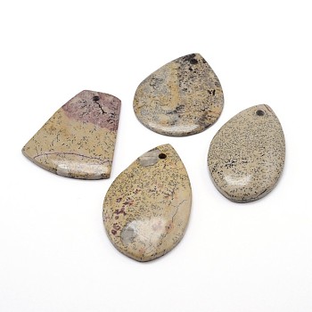 Natural Dendritic Jasper Pendants, Chohua Jasper, Mixed Shapes, 30~61x22~52x5~7mm, Hole: 1.5~2mm