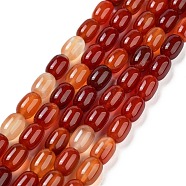 Barrel Shaped Gemstone Dyed Natural Red Agate Stone Beads Strands, Chocolate, 15x10mm, Hole: 1mm, about 25pcs/strand, 15.3 inch(G-S114-05)