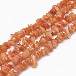 Freshwater Shell Beads Strands, Dyed, Chip, Coral, 4~14x4~8x1~8mm, Hole: 1mm, about 210~250pcs/strand, 31.4 inch(X-SHEL-S270-17)