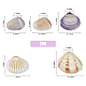 superfindings 5 styles de perles de coquillage(SHEL-FH0001-22)-2