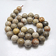 Natural Fossil Coral Beads Strands(G-G212-6mm-31)-2