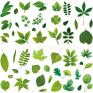 8 Sheets 8 Styles PVC Waterproof Wall Stickers, Self-Adhesive Decals, for Window or Stairway Home Decoration, Leaf, 200x145mm, 1 sheet/style(DIY-WH0345-210)