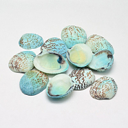 Dyed Natural Shell Beads, No Hole, Aqua, 32~37x20~29x8~10mm, about 100pcs/500g(BSHE-O007-54A-A)