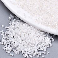 11/0 Grade A Baking Paint Glass Seed Beads, Cylinder, Uniform Seed Bead Size, Opaque Colours Luster, Floral White, about 1.5x1mm, Hole: 0.5mm, about 2000pcs/10g(X-SEED-S030-1142)