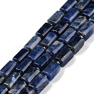 Natural Sodalite Beads Strands, with Seed Beads, Faceted, Column, 13x8~9mm, Hole: 0.5mm, about 27pcs/strand, 15.51''~15.98''(39.4~40.6cm)(G-M403-B34-03)