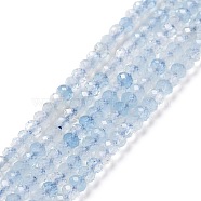 Natural Aquamarine Beads Strands, Faceted, Rondelle, 3x2mm, Hole: 0.5mm, about 175pcs/strand, 15.16 inch(38.5cm)(G-E194-12)
