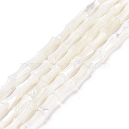Natural Trochus Shell Beads Strands, Bamboo Stick, White, 4x8x3.5mm, Hole: 0.8mm, about 51pcs/strand, 15.79''(40.1cm)(SSHEL-H070-04)