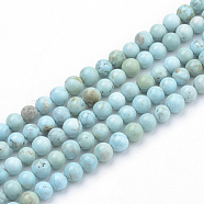 Synthetic Turquoise Beads Strands, Dyed & Heated, Round, 10mm, Hole: 1mm, about 41pcs/strand, 15.7 inch(G-Q953-03-10mm)