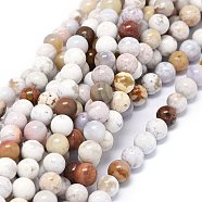 Natural Ocean Jasper Beads Strands, Round, 6~6.5mm, Hole: 0.8mm, about 66pcs/strand, 15.55 inch(39.5cm)(G-O201A-15A)