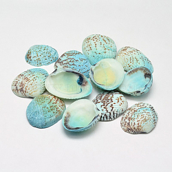 Dyed Natural Shell Beads, No Hole, Aqua, 32~37x20~29x8~10mm, about 100pcs/500g(BSHE-O007-54A-A)