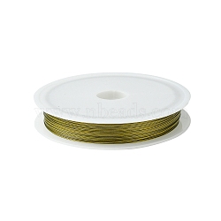 Tiger Tail Wire,Nylon-coated Stainless Steel,Gold,0.38mm,about 196.85 Feet(60m)/roll,10 rolls/set(TWIR-R002-0.38mm-03)