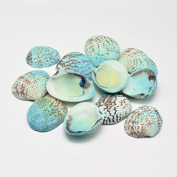 Dyed Natural Shell Beads, No Hole, Aqua, 32~37x20~29x8~10mm, about 100pcs/500g