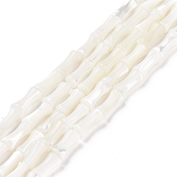 Natural Trochus Shell Beads Strands, Bamboo Stick, White, 4x8x3.5mm, Hole: 0.8mm, about 51pcs/strand, 15.79''(40.1cm)