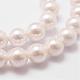Rainbow Plated Shell Pearl Bead Strands(BSHE-L025-02-10mm)-3