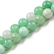 Natural Chrysoprase Beads Strands, Round, 6mm, Hole: 0.7mm, about 61pcs/strand, 15.75''~16.14''(40~41cm)(G-P503-6MM-03)