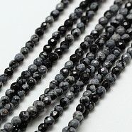 Natural Snowflake Obsidian Bead Strands, Faceted Round, 3mm, Hole: 0.8mm; about 136pcs/strand, 16inches(G-A129-3mm-12)