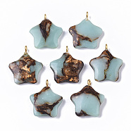 Assembled Synthetic Imperial Jasper and Bronzite Pendants, with Golden Tone Iron Loop, Dyed, Star, Light Blue, 23~24x21x5mm, Hole: 2mm(G-S366-002B)