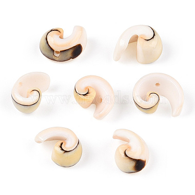 natürliche Spirale Shell Perlen Stränge(SSHEL-G024-02)-7