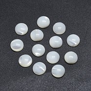 Shell Cabochons, Flat Round, 6x2~2.5mm(SSHEL-P015-61-6mm)