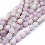 Natural Kunzite Beads Strands, Spodumene Beads, Drum, 10~13x8~10mm, Hole: 1mm, about 36pcs/strand, 16.14 inch(41cm)(G-D0010-17B)