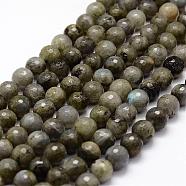 Faceted Natural Labradorite Beads Strands, Round, 10mm, Hole: 1.5mm, about 37pcs/strand, 14.8 inch(G-F364-17-10mm)