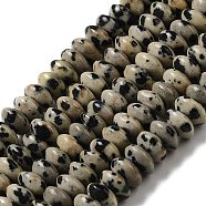 Natural Dalmatian Jasper Beads Strands, Saucer Beads, Rondelle, 6.5x3mm, Hole: 1mm, about 118~119pcs/strand, 15.35''(39cm)(G-Z030-A02-01)