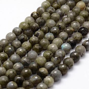 Faceted Natural Labradorite Beads Strands, Round, 10mm, Hole: 1.5mm, about 37pcs/strand, 14.8 inch