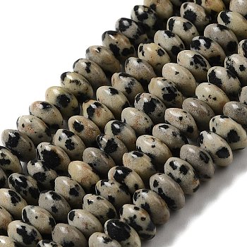 Natural Dalmatian Jasper Beads Strands, Saucer Beads, Rondelle, 6.5x3mm, Hole: 1mm, about 118~119pcs/strand, 15.35''(39cm)