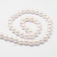 Arc-en-plaqué nacre brins de perles(X-BSHE-L025-02-6mm)-2