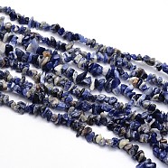 Natural Sodalite Chips Beads Strands, 3~5x3~5mm, Hole: 1mm, about 31.5 inch(G-O049-A-08)