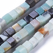 Natural Flower Amazonite Beads Strands, Cube, 5.5~6.5x5.5~6.5x5.5~6.5mm, Hole: 0.8mm, about 62pcs/strand, 15.63 inch(39.7cm)(G-D0020-06A)