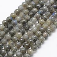 Natural Labradorite Beads Strands, Grade A+, Round, 6mm, Hole: 1mm, about 66pcs/strand, 15.3 inch(39cm)(G-P322-31-6mm)