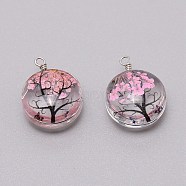 Dried Flower Inside Glass Pendant, with Iron Findings, Flat Round with Tree of Life Pattern, Pink, 22x16x10mm, about 2pcs/set.(GLAA-WH0031-02C)