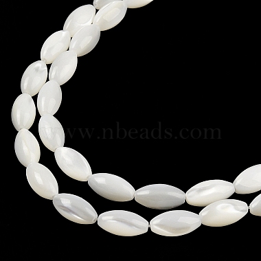 Brins de perles de coquillages naturels de troca(BSHE-G036-06B)-3