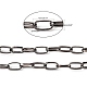 Cadenas de clip de hierro(X-CH-R025-13x6mm-B)-5