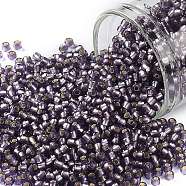TOHO Round Seed Beads, Japanese Seed Beads, (39F) Silver Lined Frost Light Tanzanite, 11/0, 2.2mm, Hole: 0.8mm, about 1110pcs/bottle, 10g/bottle(SEED-JPTR11-0039F)