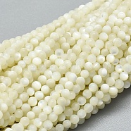 Natural White Shell Beads Strands, Mother of Pearl Shell Beads, Round, 2mm, Hole: 0.5mm, about 195pcs/strand, 15.35 inch(39cm)(G-A177-04-25)