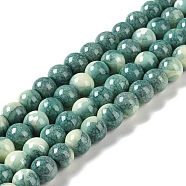 Baking Paint Glass Bead Strands, Round, Dark Cyan, 10mm, Hole: 1.4mm, about 85~86pcs/strand, 31.10~31.50''(79~80cm)(GLAA-H031-01C-07)