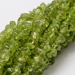 Natural Peridot Chip Bead Strands, 3~5x3~5mm, Hole: 1mm, about 32~32.5 inch(G-M298-12)