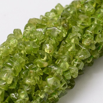 Natural Peridot Chip Bead Strands, 3~5x3~5mm, Hole: 1mm, about 32~32.5 inch